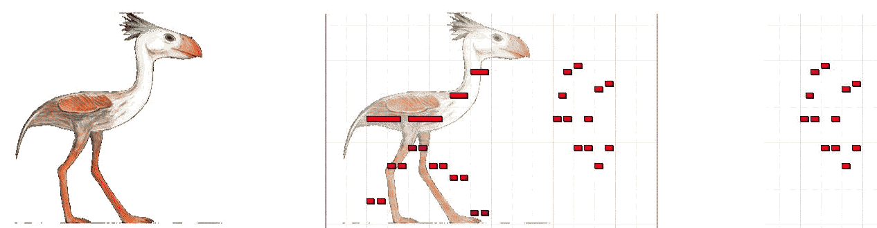 Phorusrhacos and escaping animals